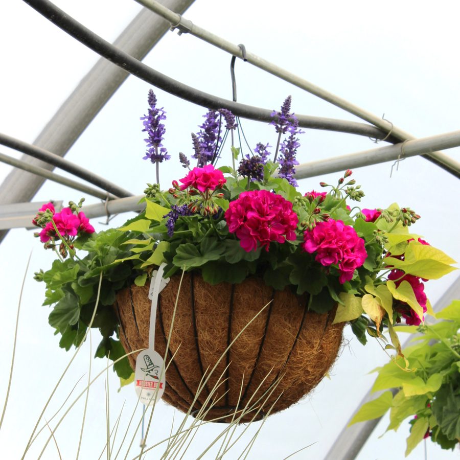 Greenhouse preview 4