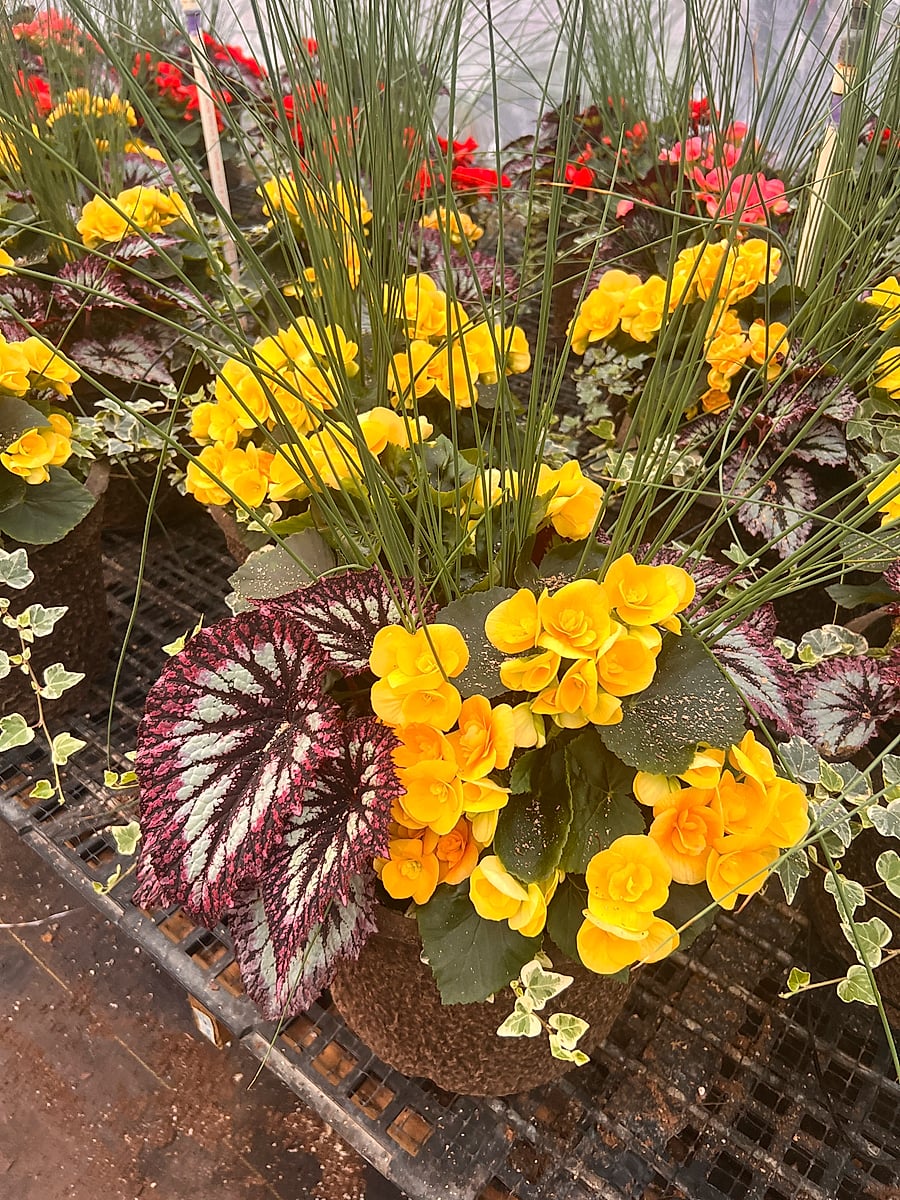 The Drop-In Planter 1